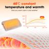 Electric Heated Hand Warmer Cold Protection Winter Warming Pad For Waist Leg Artifact Graphene Hand Heating USB Charging