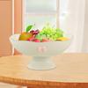 Декоративная чаша-пьедестал для дренажа, современное украшение, высокая ножка, поднос для хранения фруктов