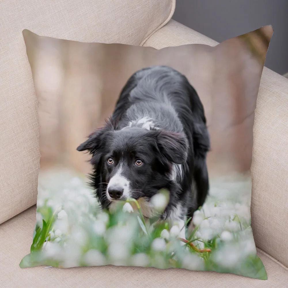 Soft Plush Cute Pet Animal Cushion Cover Scotland Border Collie Pillowcase for Sofa Car Decor Dog Printed Pillow Case