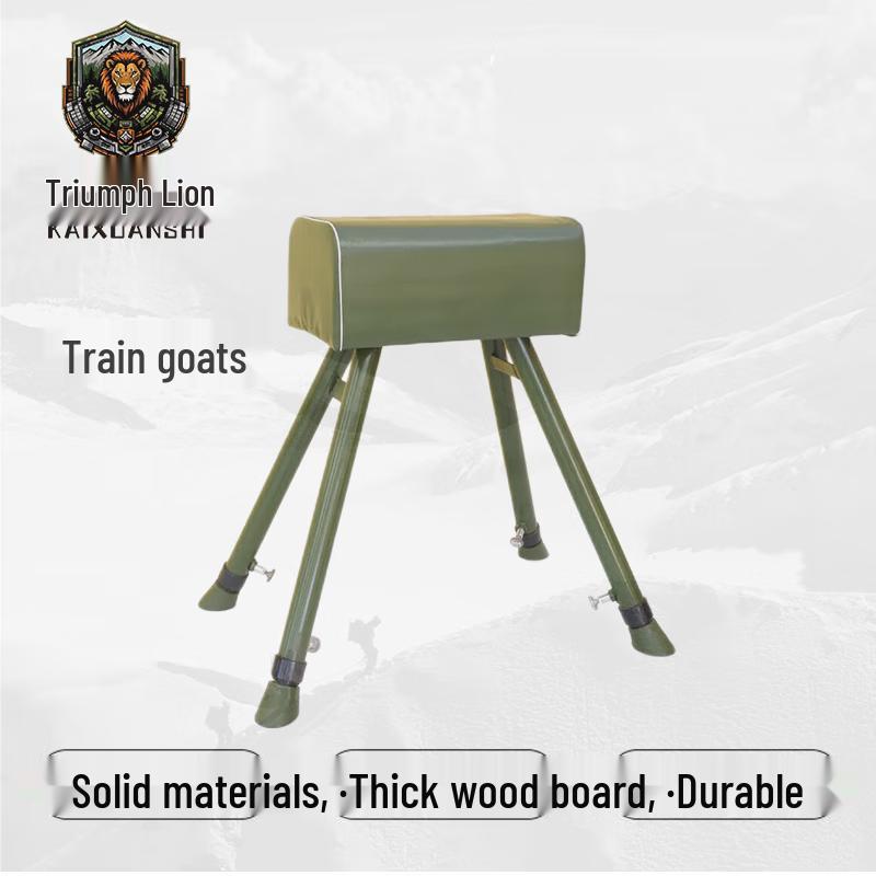 Gymnastics Vaulting Horse and Springboard