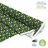 Outdoor Dekostoffe Oxford - Motiv Obst | Dx6708