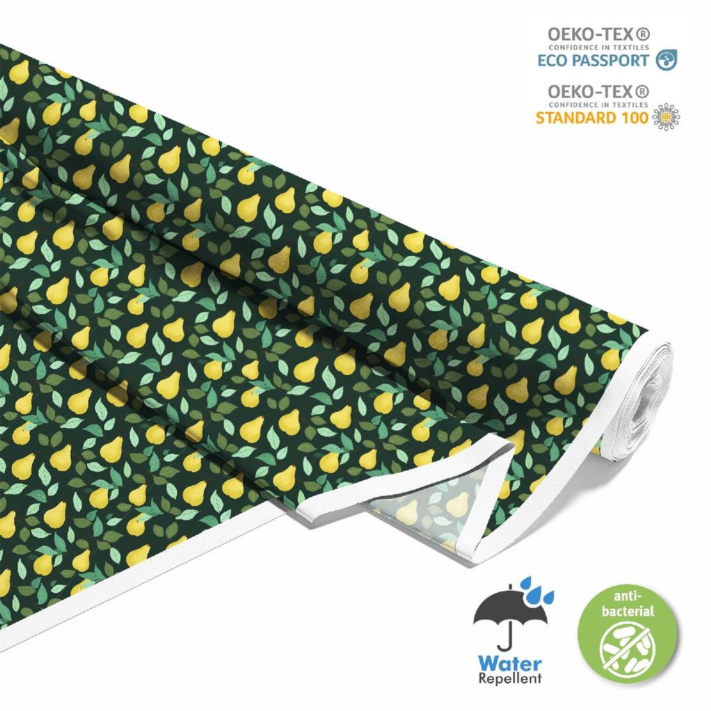 Outdoor Dekostoffe Oxford - Motiv Obst | Dx6708