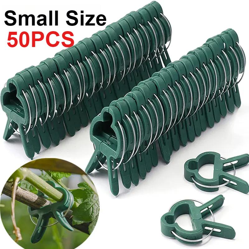 50 шт. фиксированных зажимов для растений, многоразовый зажим для садовой теплицы, кронштейн для фиксированных растений, инструментов для поддержки стеблей саженцев виноградной лозы