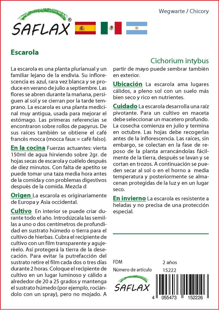 SAFLAX Garden in the Bag - Цикорий - 250 семян - С субстратом в подходящем пакете - Cichorium intybus