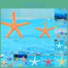 Colorful Mini Starfish Resin Craft Decorations For Aquarium And Fish Tank