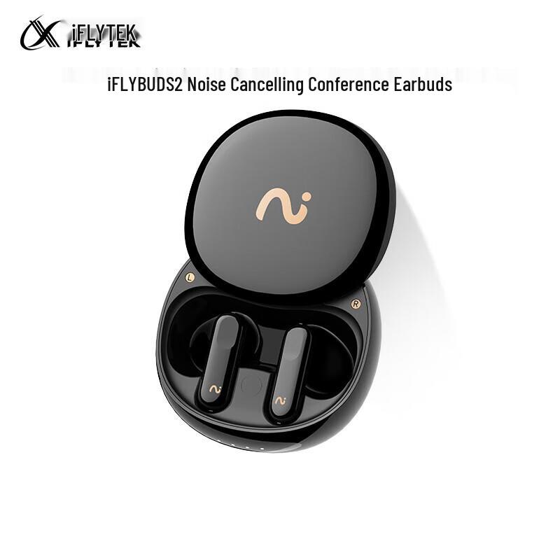 iFLYTEK iFLYBUDS 2 AI Conference Earphones with ANC