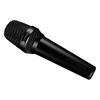 Динамический микрофон LEWITT MTP 250 DMs с переключателем