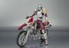 TAMASHII NATIONS Kamen Rider Galen Red Lambus Set SHFiguarts &