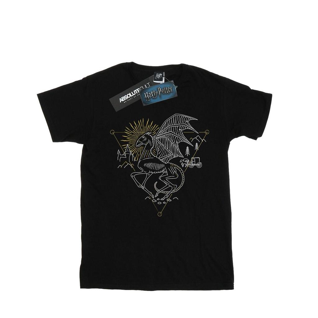 Harry Potter Mens Thestral Line Art T-Shirt