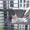 Metal Frame Plush Cat Hammock Comfortable Cat Sleeping Rest Wall Mount Cat Nest  Pet Sleeping