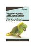 Книга Yellow-Naped Amazon Parrot : Pet Bird Guide