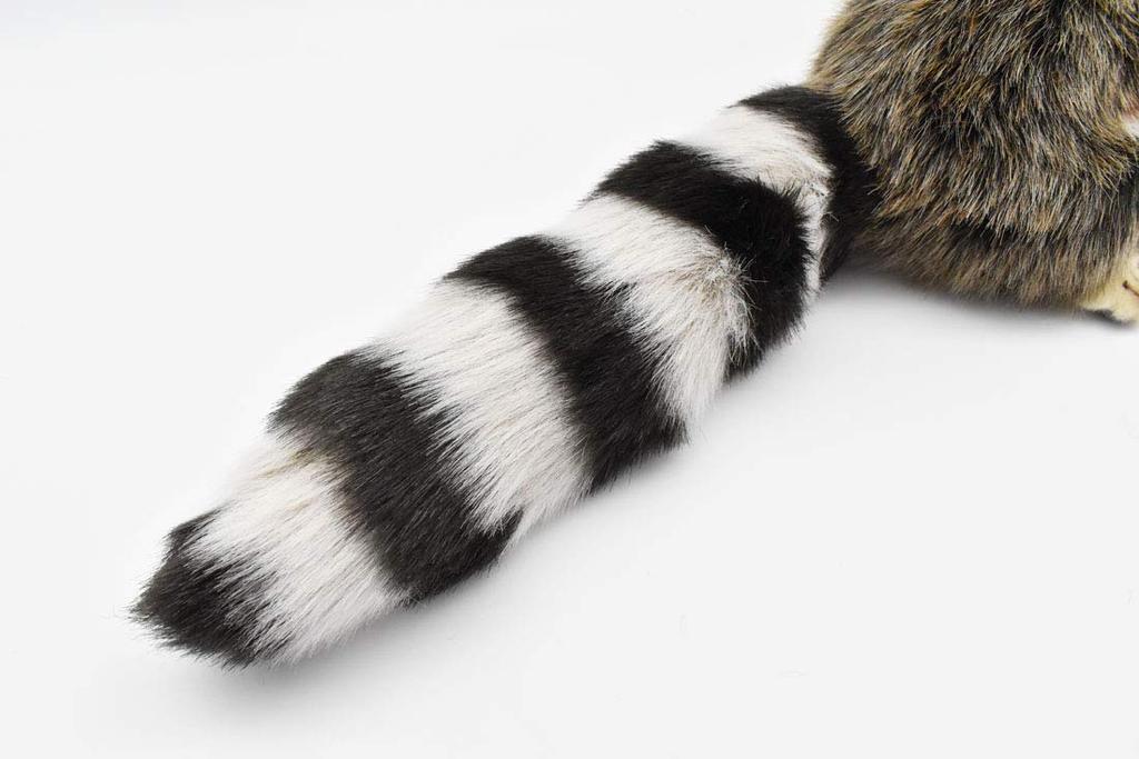 BH4248 HANSA Raccoon 25