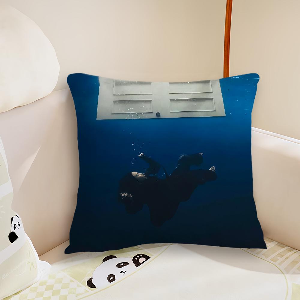 Singer HIT ME HARD AND SOFT cushion cover Plush Fabric Soft Double Sided Print Sofa Cushion Cover Throw Pillow Covers