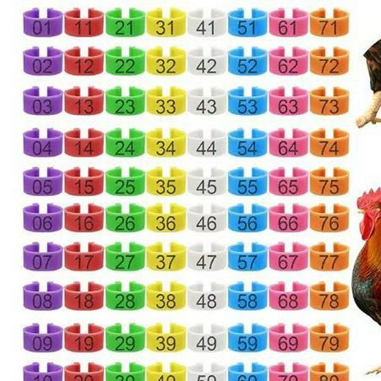 Птицеводческие маркировочные лазерно-гравированные цветные ножные кольца с открытой пряжкой