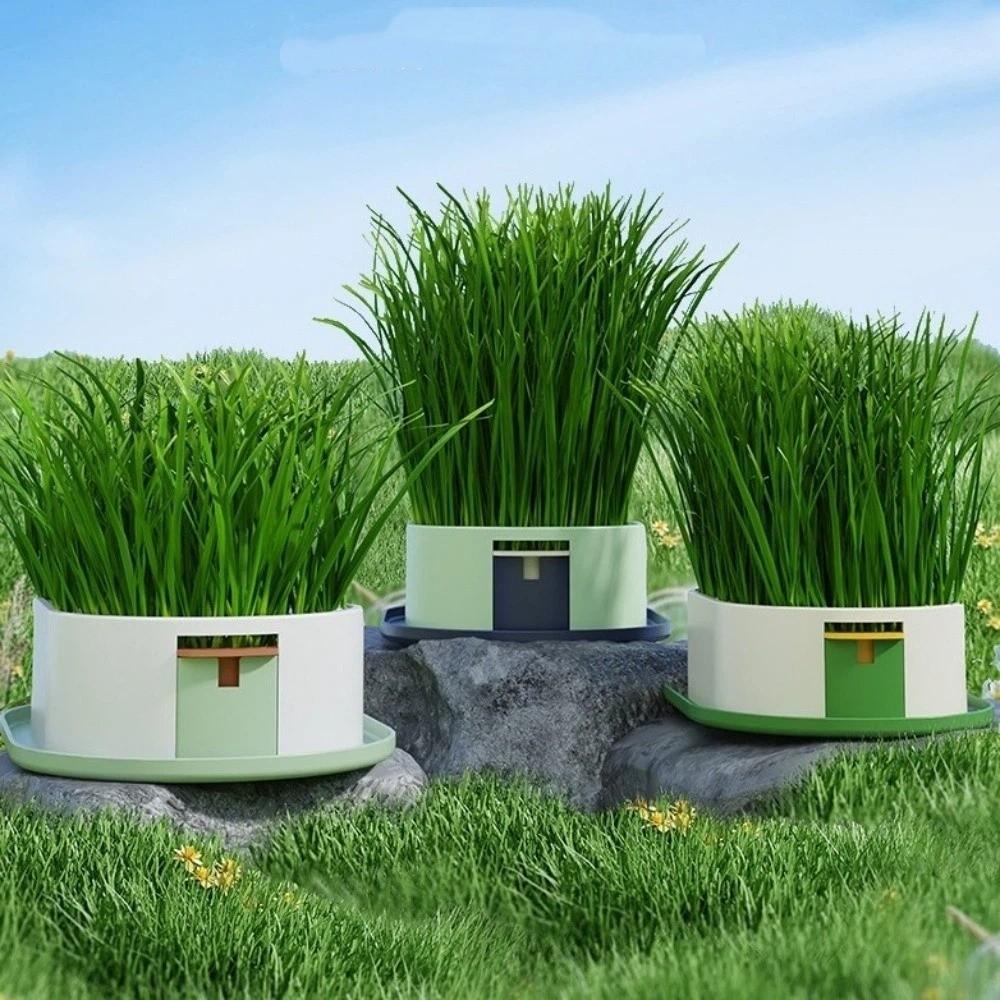 Layered Design Hydroponic Planting Tray Removable Hydroponic Cat Grass Box Indoor Gardening