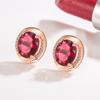 New 925 Sterling Silver Earrings Fashion AAA Zircon For Women Exquisite Student Girlfriend Jewelry Accessories Wedding Party