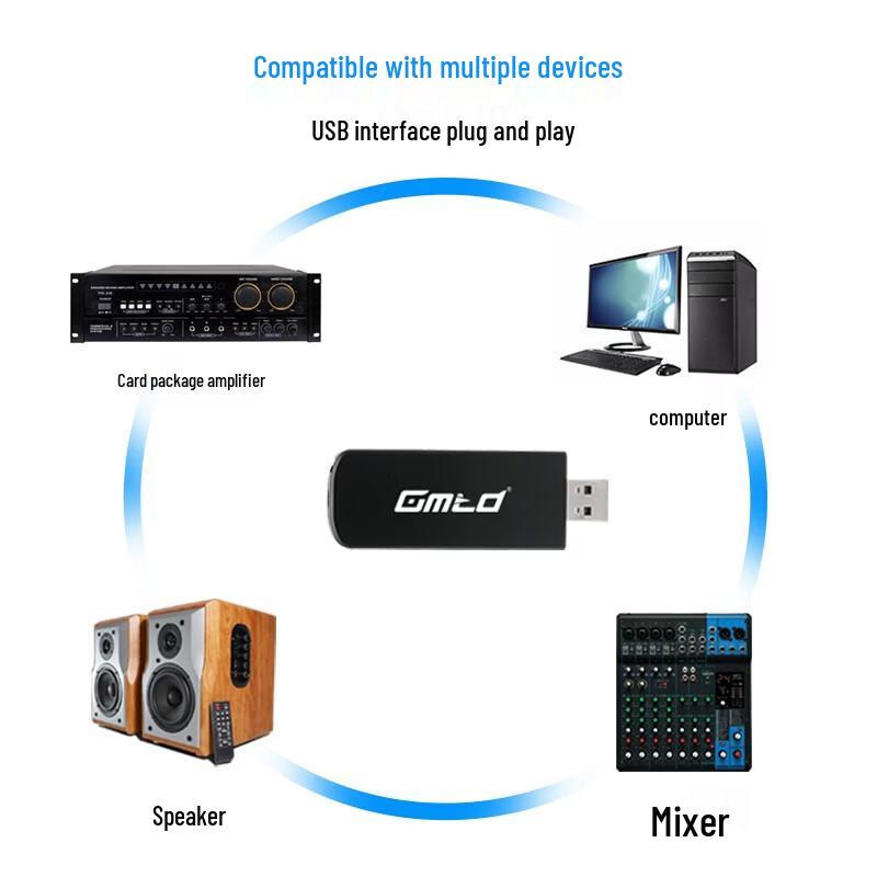Gmtd GM-S301 Wireless USB Microphone System