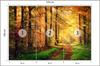 Photomural Forest Autumn Colors Self-Adhesive Mural 270x180
