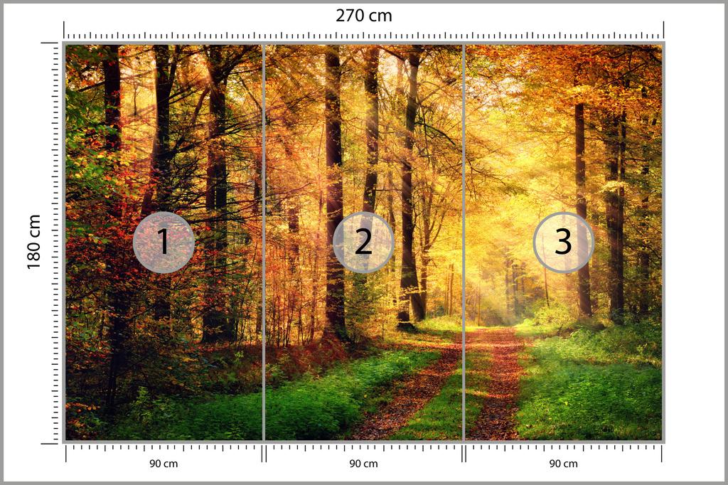Photomural Forest Autumn Colors Self-Adhesive Mural 270x180