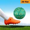 Portugal: Lion Emblem Green Shield Soccer Ball Suitable for both training and competition No. 5 football Outdoor sports High elasticity entertainment