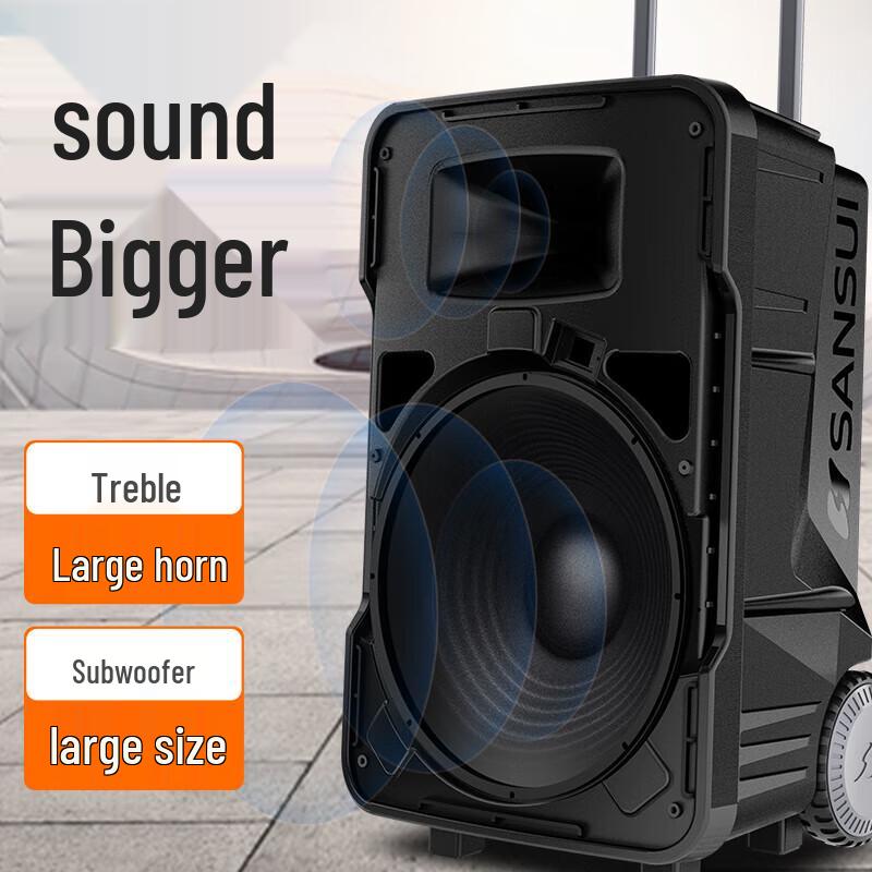 Sansui A12 12-inch Portable K-Song Trolley Speaker