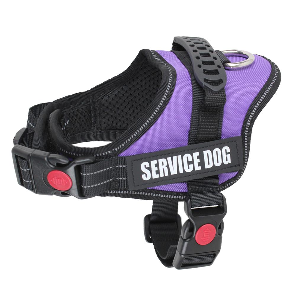 Милый ошейник-шлейка для щенка и котенка, светоотражающая шлейка-жилет для маленькой собаки, для прогулок на улице, защита от потери, корги, лабрадор, чихуахуа