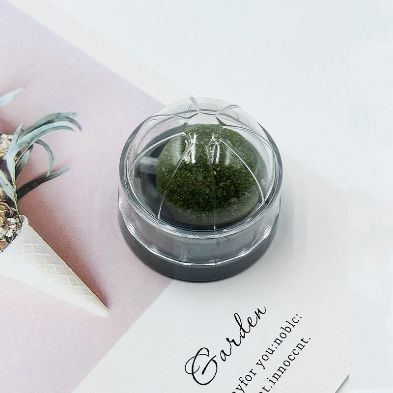 Кошачья мята Мататаби Игрушка-дразнилка и Жевательная палочка для игры котенка