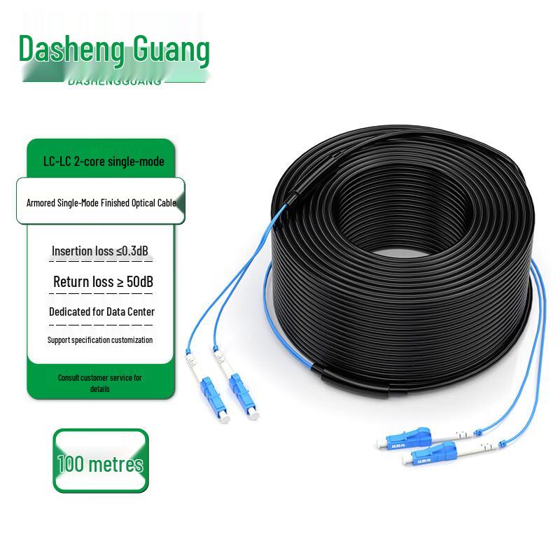 Dasheng Optic Outdoor Armored Single-mode LC-LC Fiber Optic Cable