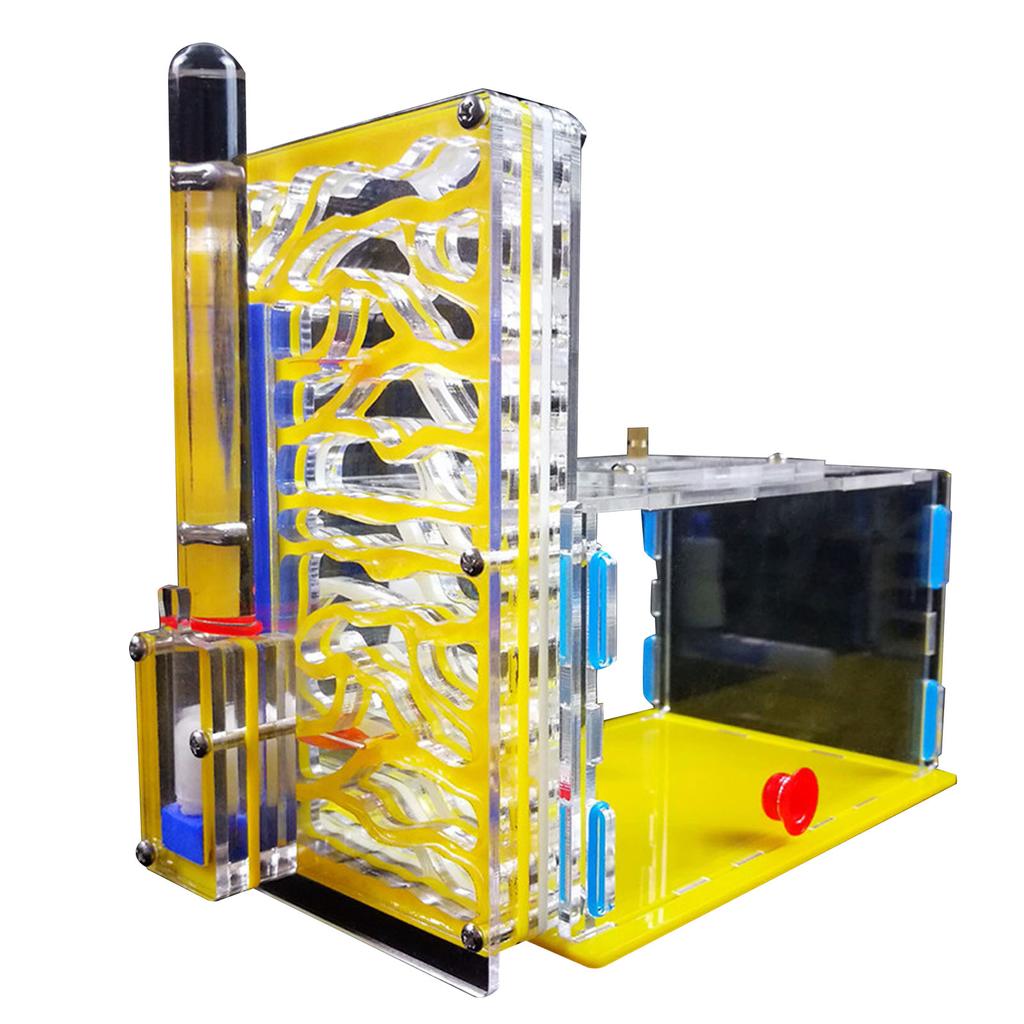 DIY T Design Feeding Area Acrylic Farm Insect Villa Mania House Ant Nest Birthday Present Gift