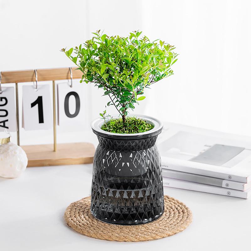 Мини-горшок для цветов с самополивом, аквариум, прозрачные пластиковые горшки для растений, самополивной горшок для растений, ваза для украшения дома