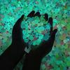 50Pcs Glowing Mini Resin Little Ducks Moss Microlandscape Miniature Duck Figurines Fairy Garden Accessories Home Decornew