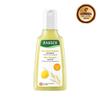 Rausch Egg Oil Nourishing Shampoo 200ml