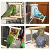 Bird Mirror With Perch Bird Perch Mirror Toy Stand Bird Toy Cockatiels Cage