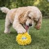 Bite-Resistant Pet Mop Ball Toys Glowing Pet Interactive Toys Teeth Grinding Toys  Indoor Play