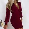 Women Spring Fall Dress Low Cut Deep V Neck Pleated Sheath Long Sleeve Slim Fit Tight Waist Soft Pure Color Lady Above Knee Length Mini Dress