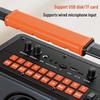 Jinzheng Portable KTV Speaker with 17-inch Rotating Screen & Dual Mics (CN version)