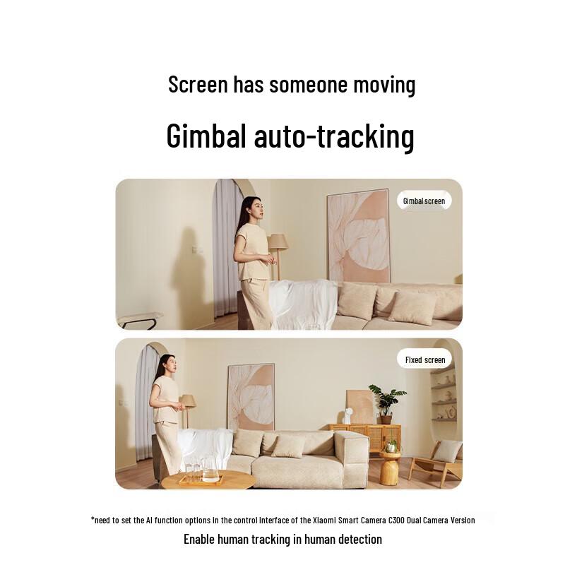 Умная камера Xiaomi C300 с двумя объективами 360° (Китайская версия)