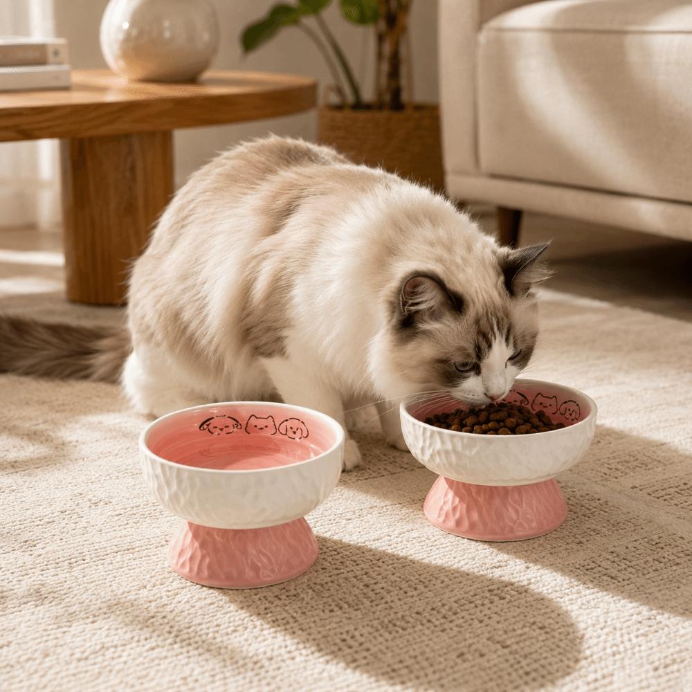 Ceramic Elevated Cat Bowl Anti-Vomiting Raised Pet Feeder Pet Food Water Bowl Pet Supplies