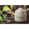 NEOGEN Успокаивающий крем для лица Dermalogy Real Heartleaf 80 г