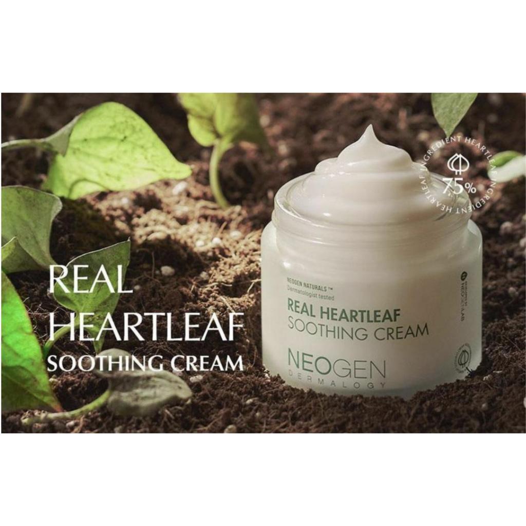 NEOGEN Успокаивающий крем для лица Dermalogy Real Heartleaf 80 г