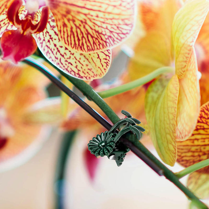 100 шт. вьющихся растений виноградная лоза орхидея фиксация опорные зажимы инструменты садовые цветочные стебли шпалерные зажимы