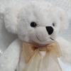 [USED] Cheeky Bear Teddy Bear White