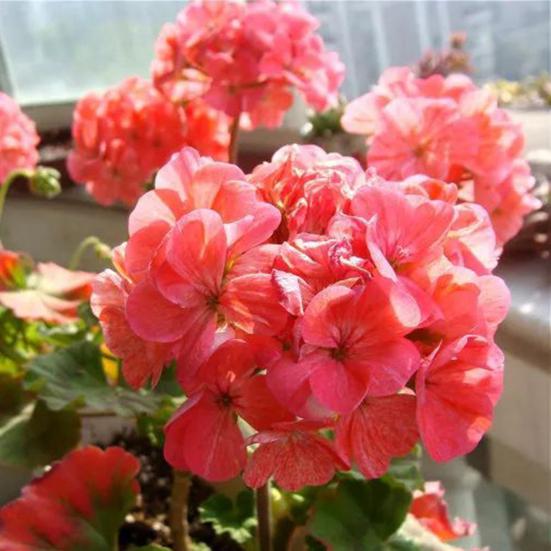 Статуэтка акробатического клоуна из смолы, настольная скульптура клоуна, декор для кашпо, клоун в цветочном горшке