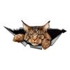 Maine Coon 3D Vinyl Car Sticker, Fun Waterproof Sticker for Cars, Trucks, Motorcycles, Walls, Windows, PVC Material