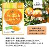 Из 10 Kaneka Foods Wakayama Wenzhou Mikan Gummy Fruit Juice Gummy Labret Lactic Acid Bacteria 40 г x 10 пакетиков Gummy Popular Large Capacity [набор пакетов]