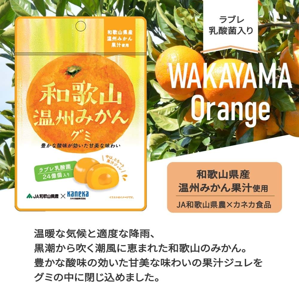 Из 10 Kaneka Foods Wakayama Wenzhou Mikan Gummy Fruit Juice Gummy Labret Lactic Acid Bacteria 40 г x 10 пакетиков Gummy Popular Large Capacity [набор пакетов]