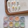 Nail Art Dried Flower Ornaments - Boxed Set BJ127
