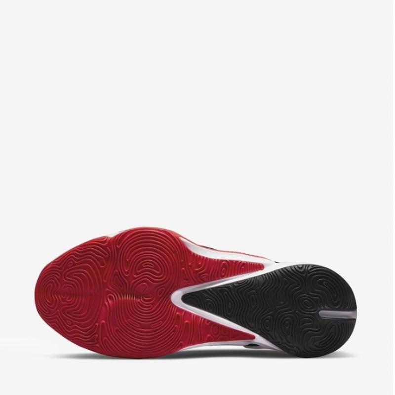 Nike Баскетбольные кроссовки High Top Zoom Frick 3 Da0694 003 P2205