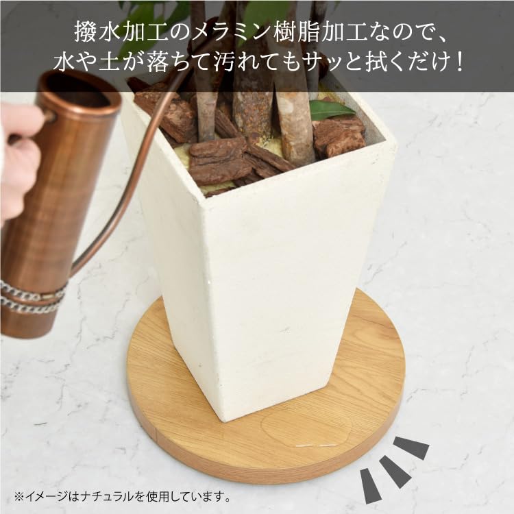 Подставка для цветов Belca, основание для кашпо с колесиками, диаметр 30 x высота 3,5 см, серая круглая подставка для горшков, грузоподъемность 25 кг, подвижная BB-PB-GY