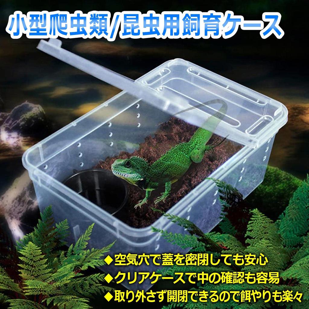 Простое разведение шоколадных рептилий с двойным воздухом без нагрева сверчков оленей xx Корпус, клетка, прозрачная, крышка, двери, отверстия, вентиляция, диффузия,
